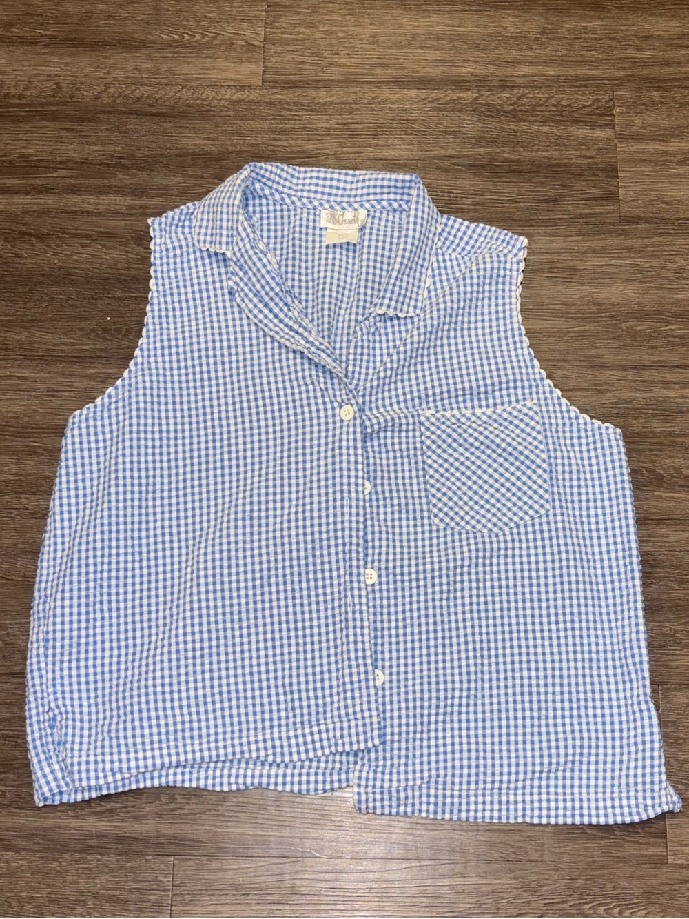 Blue Gingham Sleeveless Button-Up Top